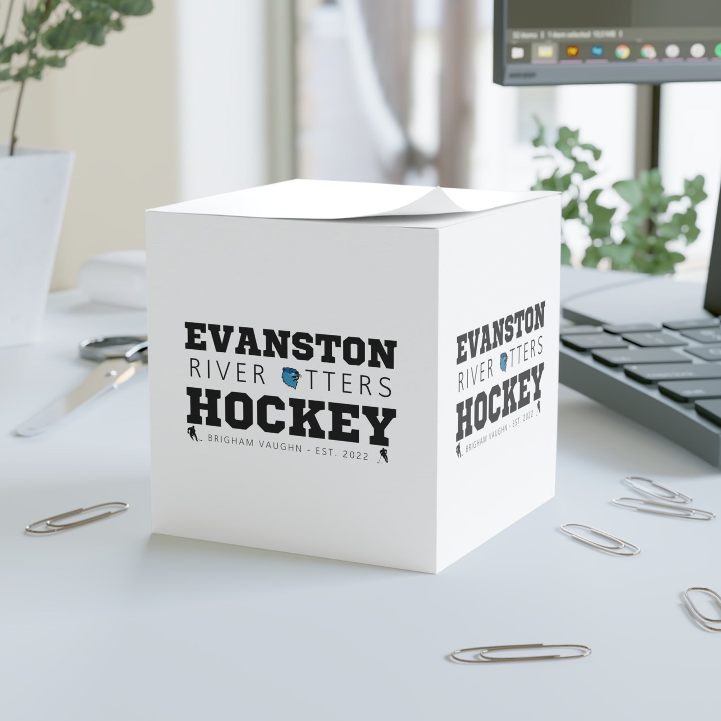 Evanston River Otters Hockey Sticky Note Cube