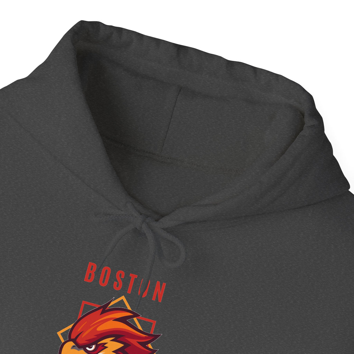 Boston Harriers Unisex Hooded Sweatshirt