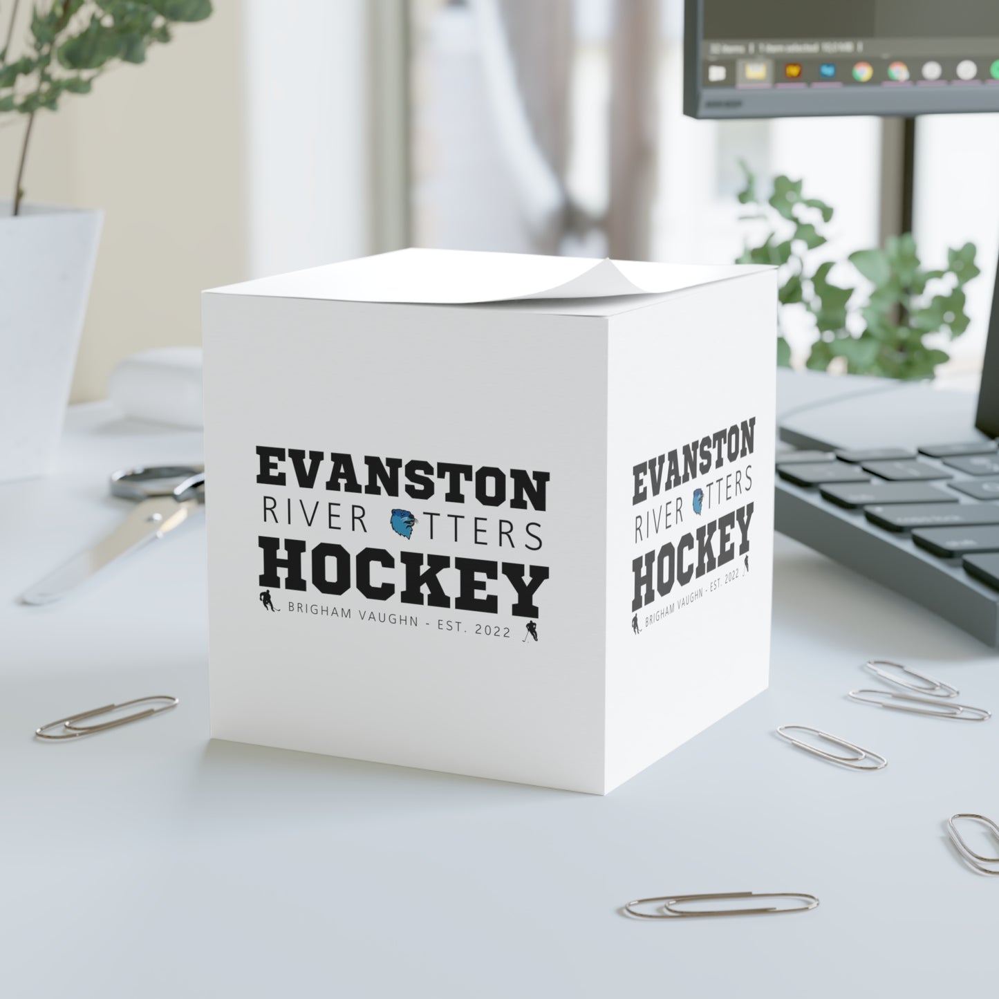 Evanston River Otters Hockey Sticky Note Cube